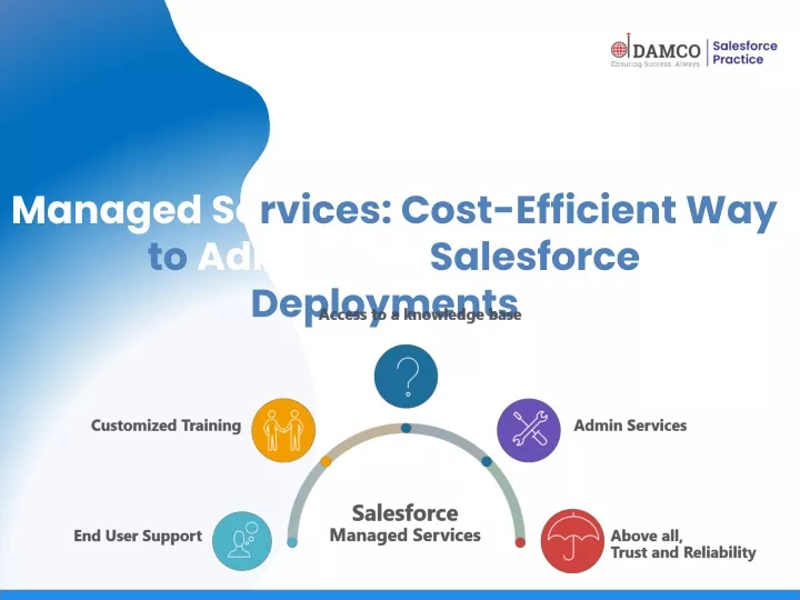 managed se rvices cost efficient way to administer salesforce deployments