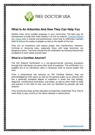 what is an arborists and how they can help you
