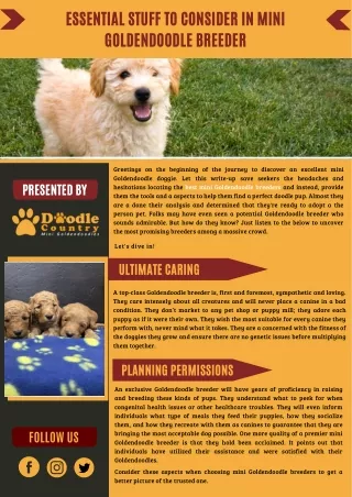 Stuff To Consider In Mini Goldendoodle Breeders