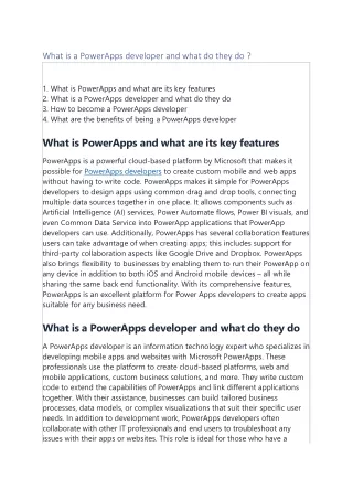 what is a powerapps developer and what do they do