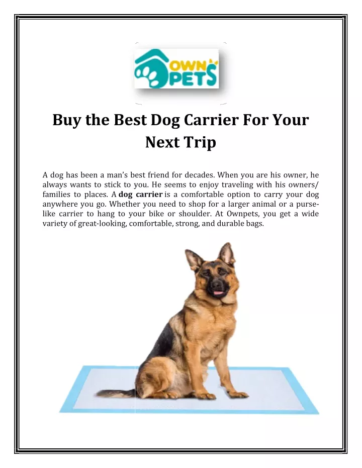 buy the best dog carrier for your best