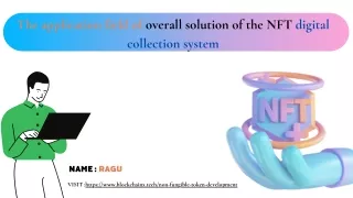 About NFT  digital collection system