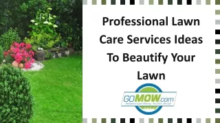 Professional Lawn Care Services Ideas To Beautify Your Lawn