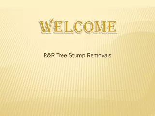 r r tree stump removals
