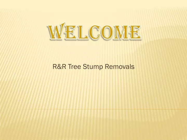 r r tree stump removals