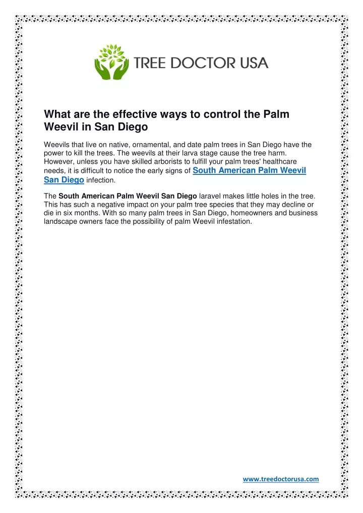 what are the effective ways to control the palm