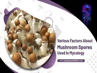 Various Factors About Mushroom Spores Used In Mycology