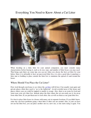 everything you need to know about a cat litter