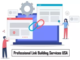 professional link building services usa
