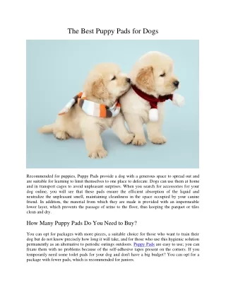 the best puppy pads for dogs