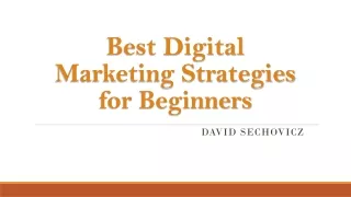 Best Digital Marketing Strategies for Beginners- David Sechovicz