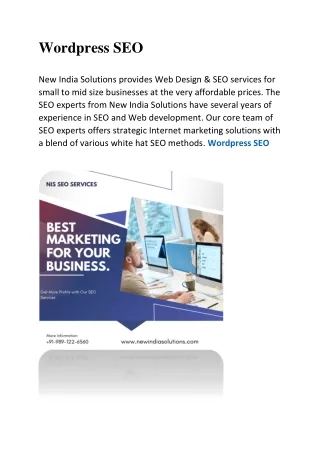 wordpress seo new india solutions provides