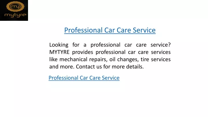 professional car care service