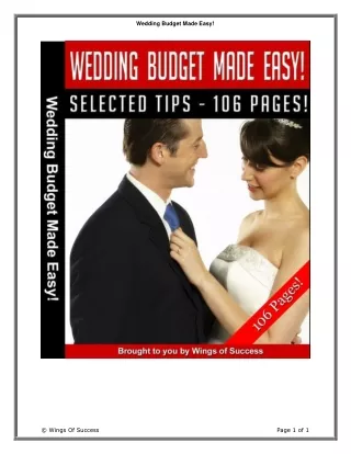 Wedding Budget Made Easy!