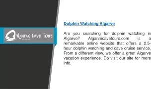 dolphin watching algarve are you searching