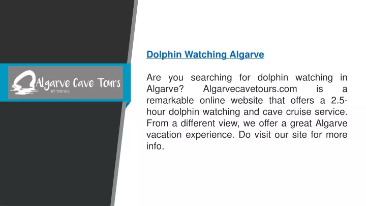 dolphin watching algarve are you searching