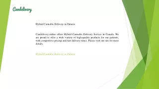 Hybrid Cannabis Delivery in Ontario  Candelivery.online