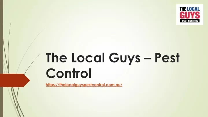 the local guys pest control