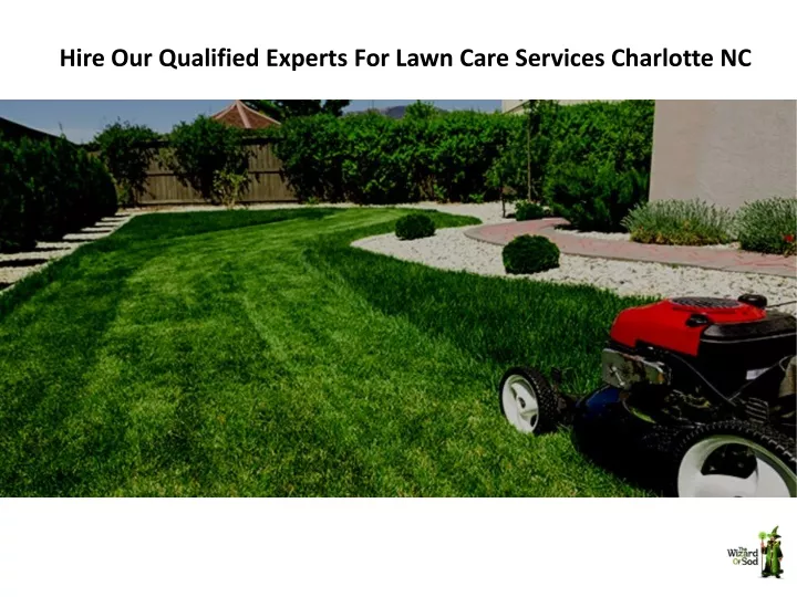 hire our qualified experts for lawn care services