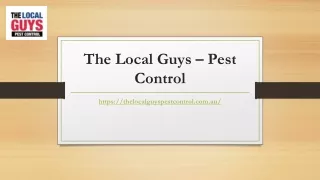 Termite Treatment Perth Reviews | Thelocalguyspestcontrol.com.au