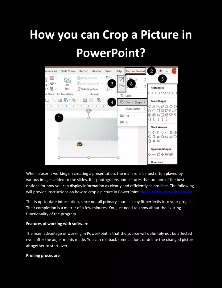 how you can crop a picture in powerpoint