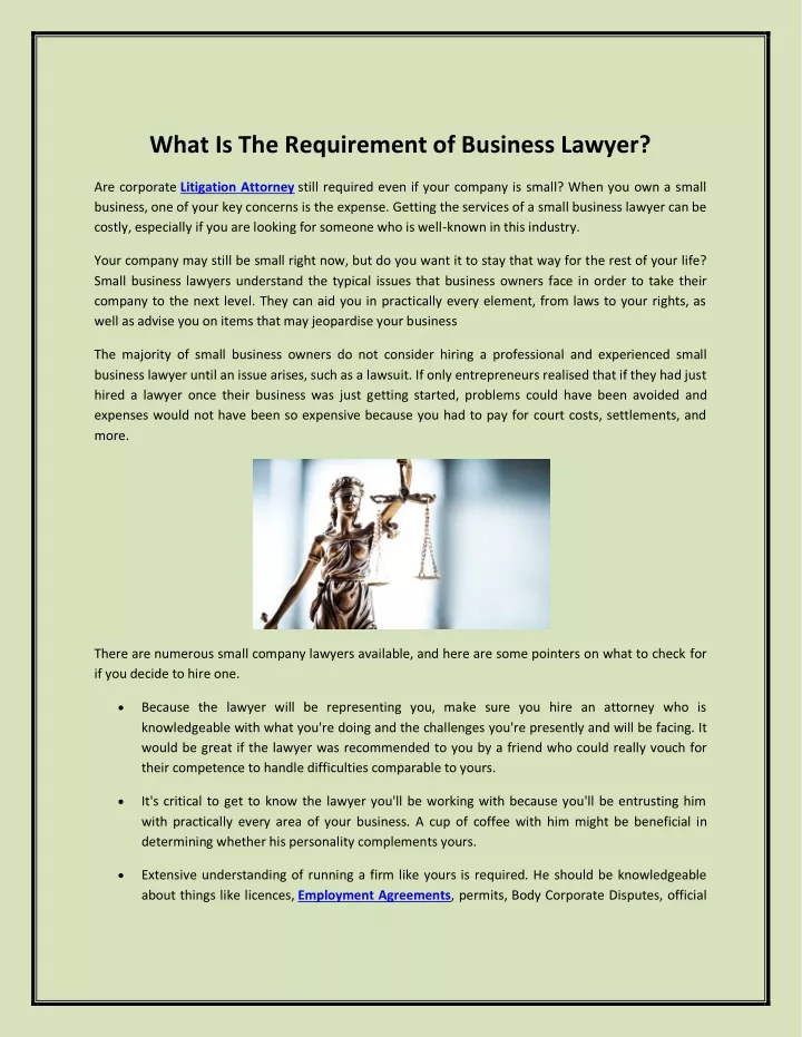 what is the requirement of business lawyer
