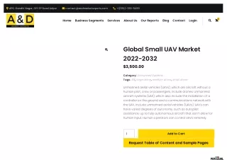 global-small-uav-market_