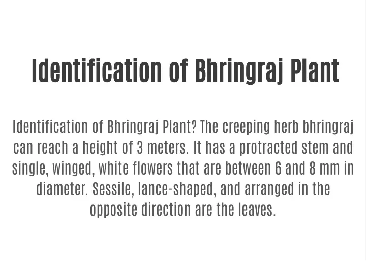 identification of bhringraj plant
