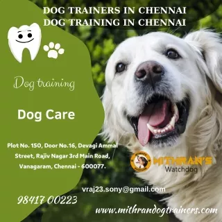 dog trainers in chennai dog training in chennai