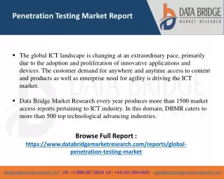 penetration testing market report