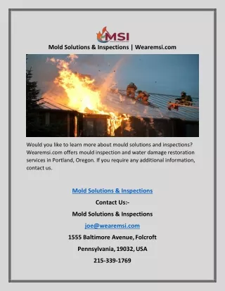 Mold Solutions & Inspections | Wearemsi.com