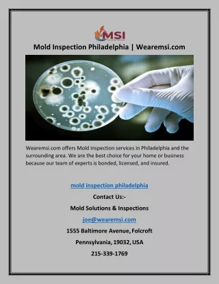 Mold Inspection Philadelphia | Wearemsi.com