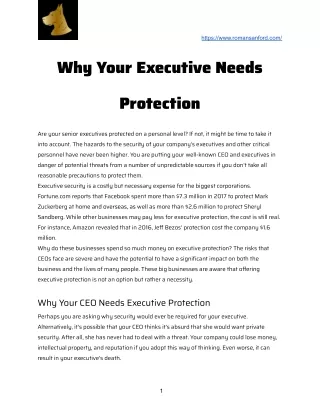 Why Your Executive Needs Protection