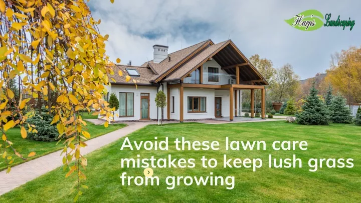 avoid these lawn care mistakes to keep lush grass