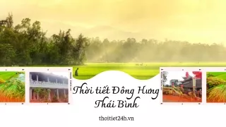 Dự báo thời tiết Đông Hưng Thái Bình