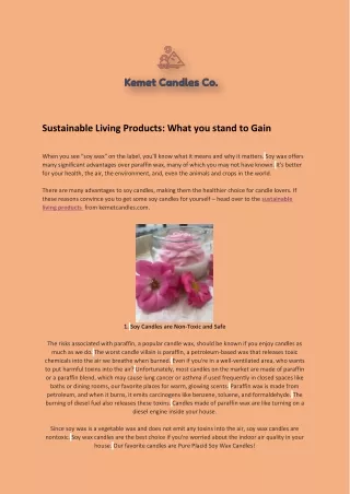 Sustainable Living Products: What you stand to Gain