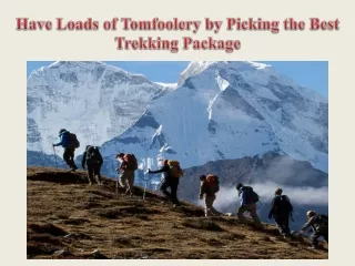 Have Loads of Tomfoolery by Picking the Best Trekking Package