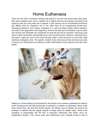 Home Euthanasia