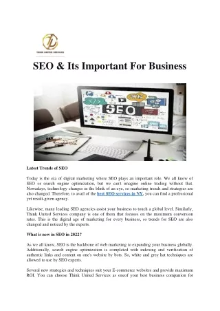 SEO Service Provider in USA