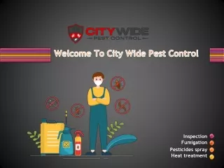 City Wide Pest Control