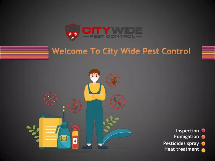 welcome to city wide pest control