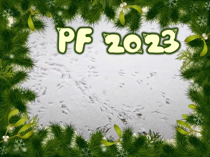 pf 2023