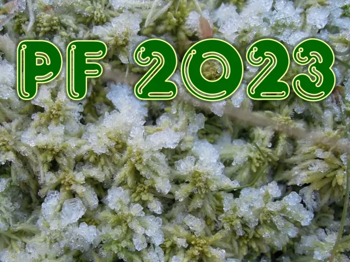 pf 2023