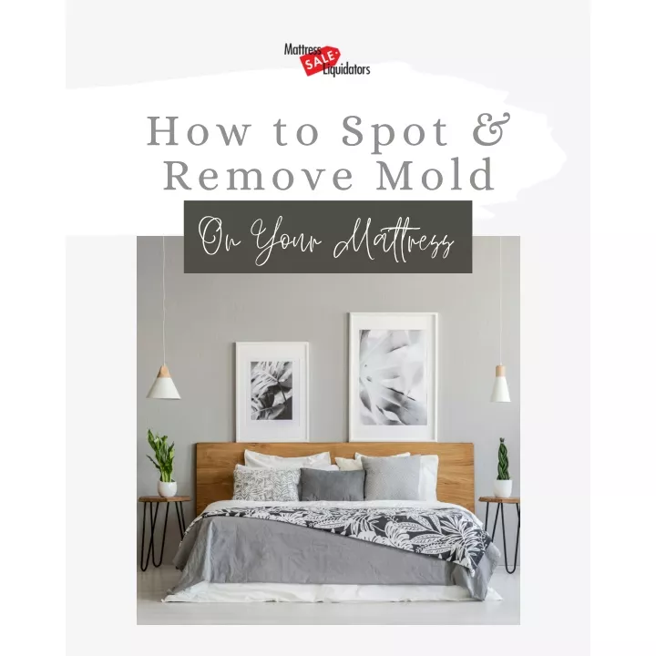 how to spot remove mold on your mattress