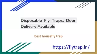 Disposable Fly Traps, Door Delivery Available