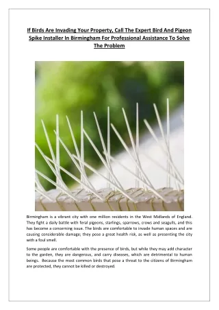If Birds Are Invading Your Property, Call The Expert Bird And Pigeon Spike Installer In Birmingham For Professional Assi