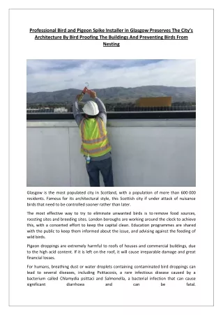 Professional Bird and Pigeon Spike Installer in Glasgow Preserves The City’s Architecture By Bird Proofing The Buildings