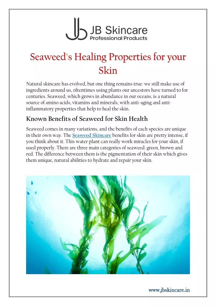 seaweed s healing properties for your skin