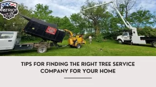 Tips For Finding The Right Tree Service Company For Your Home