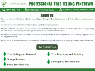 professional tree felling pinetown